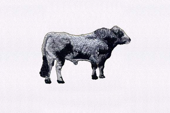 Gray and Black Cow Embroidery Design Review