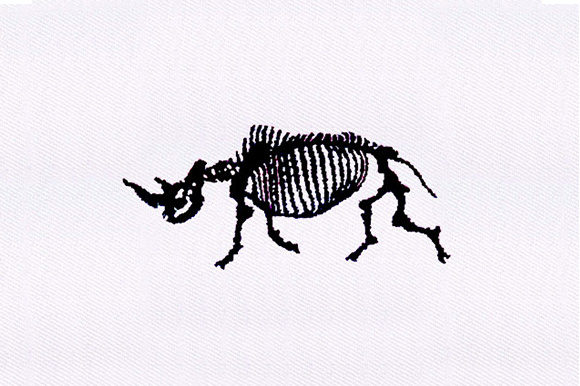 Rhinoceros Skeleton Design: A Designer's Review for Personalized Gifts